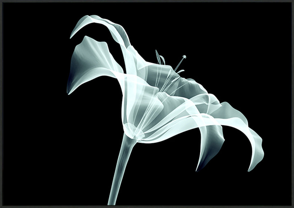 canvas_frame