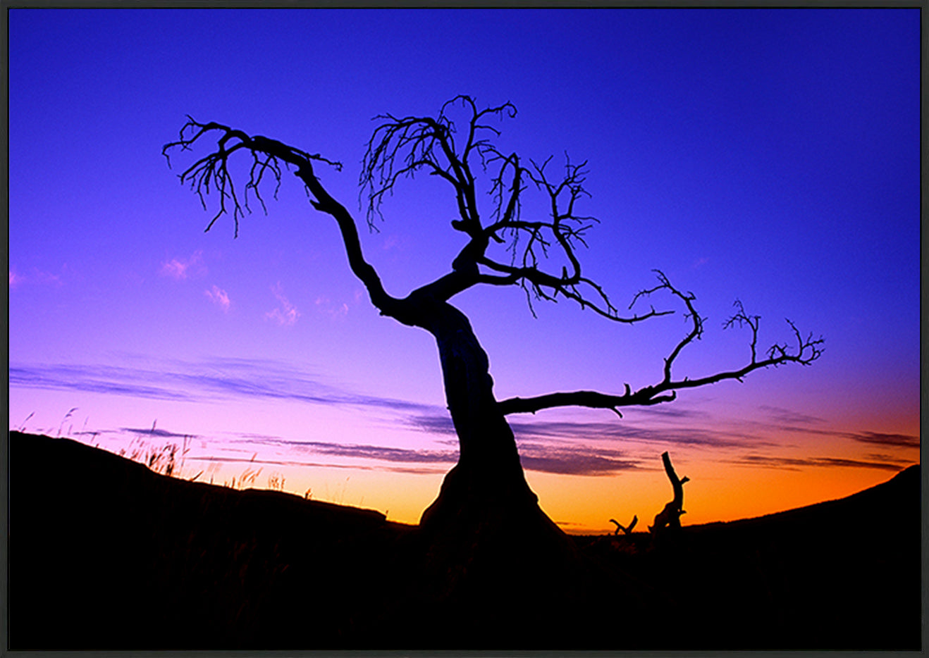 canvas_frame