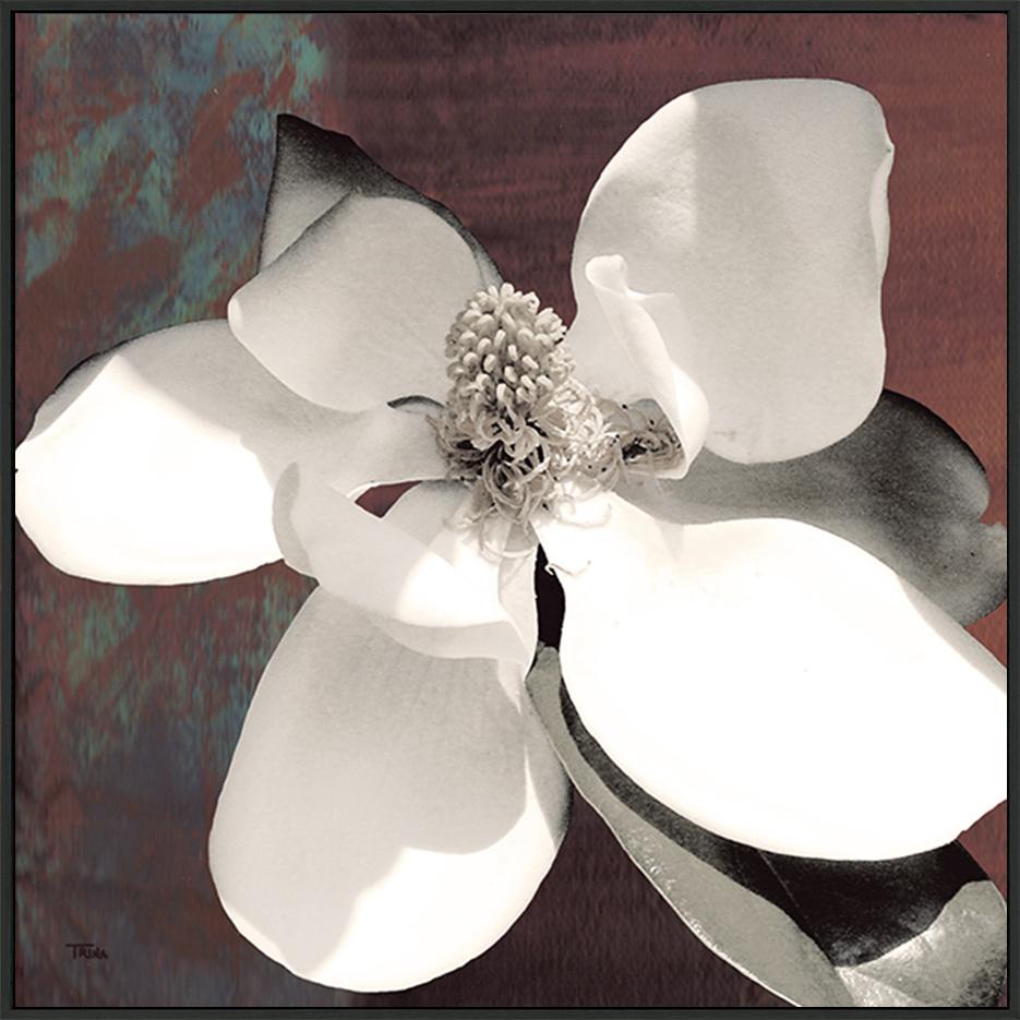 canvas_frame