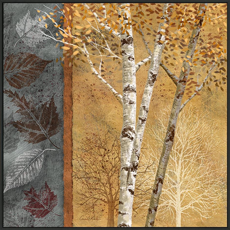 canvas_frame