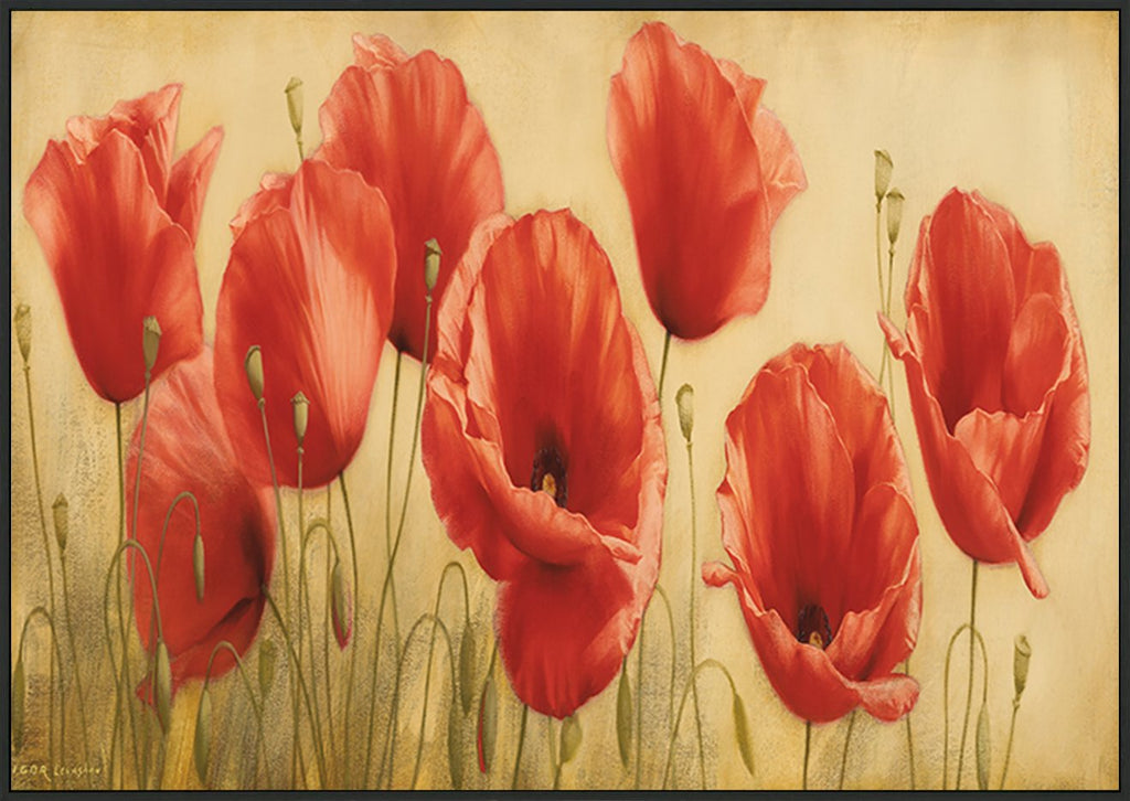 canvas_frame