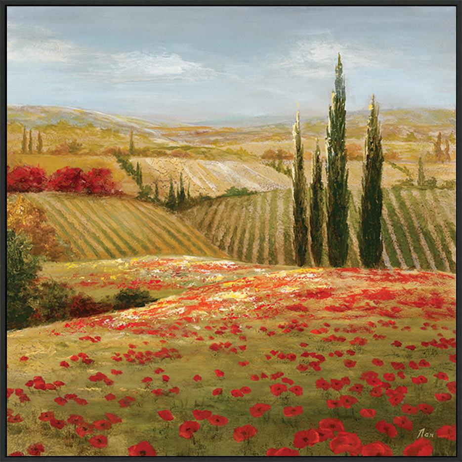 canvas_frame