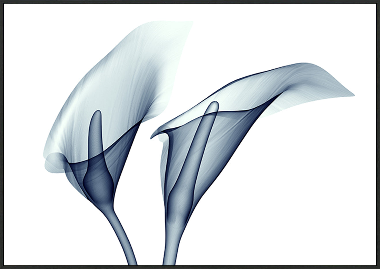 canvas_frame