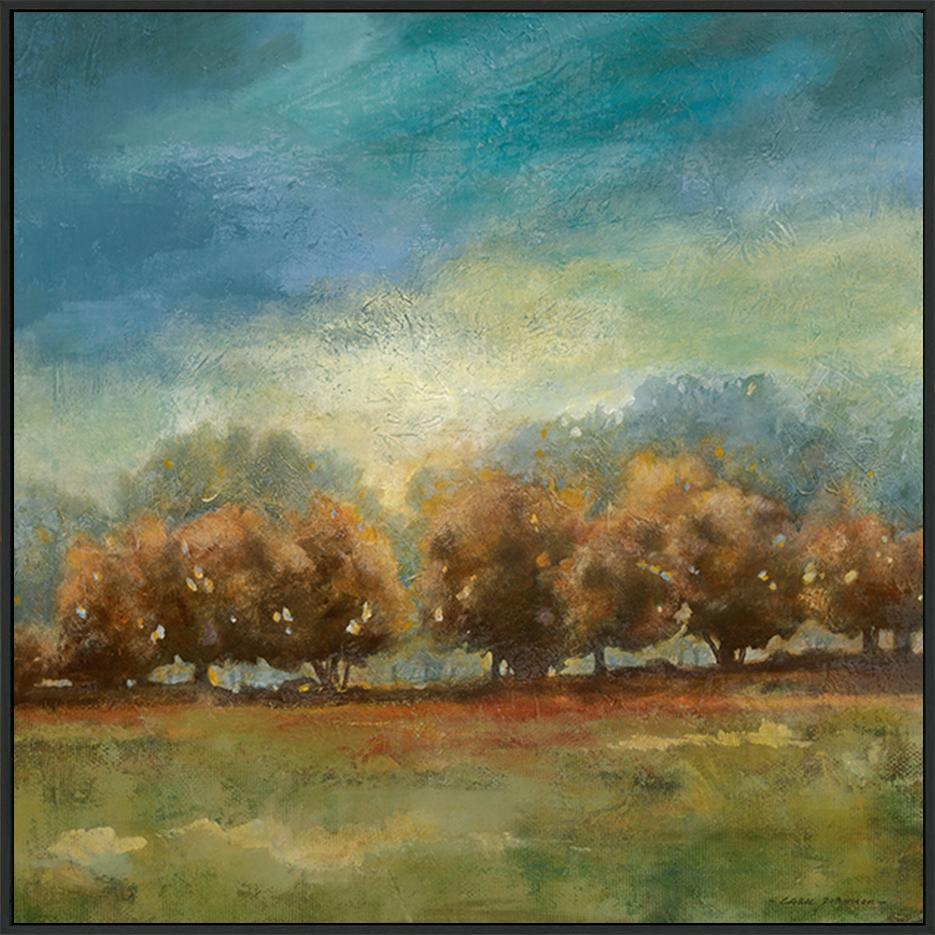 canvas_frame