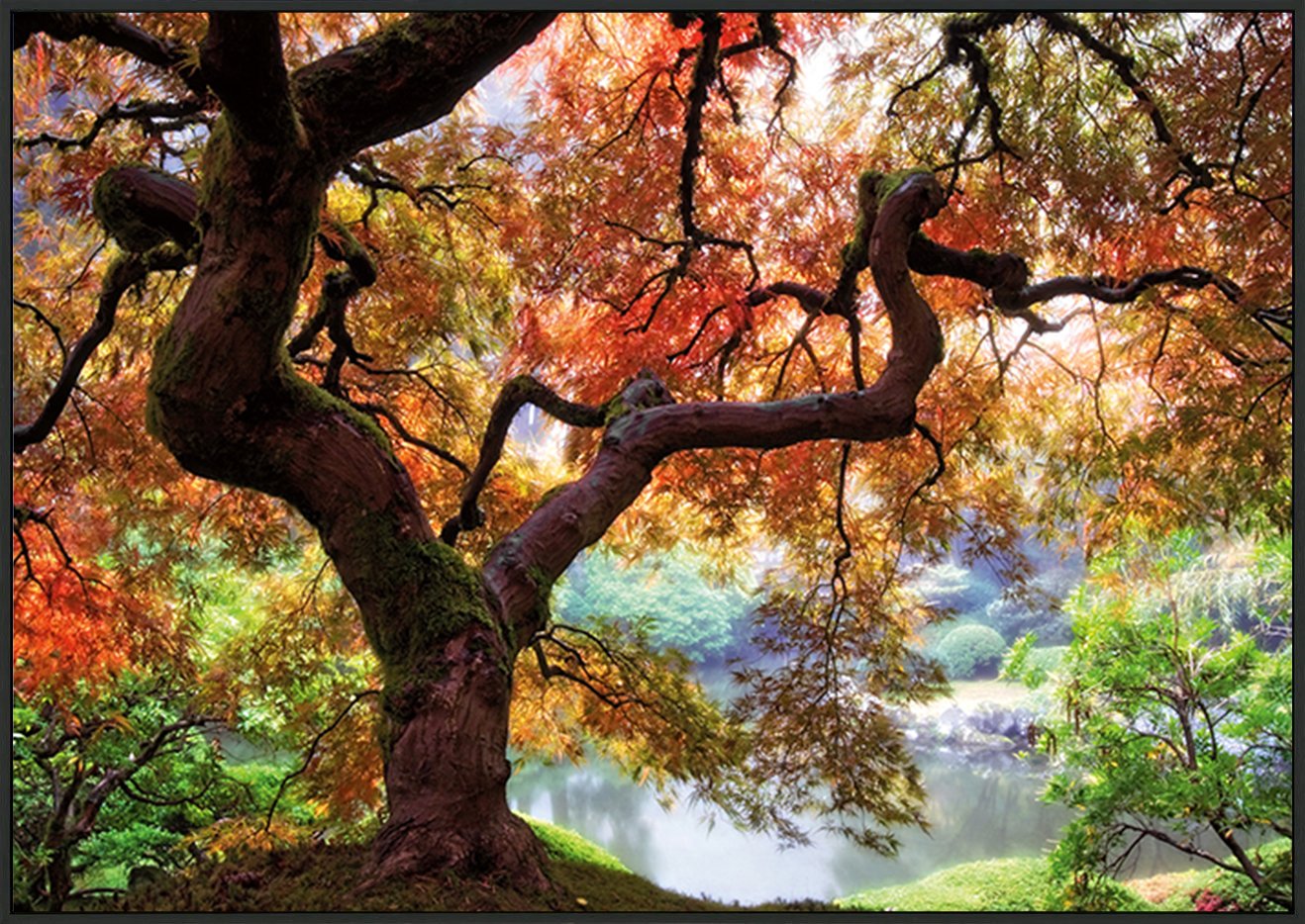 canvas_frame