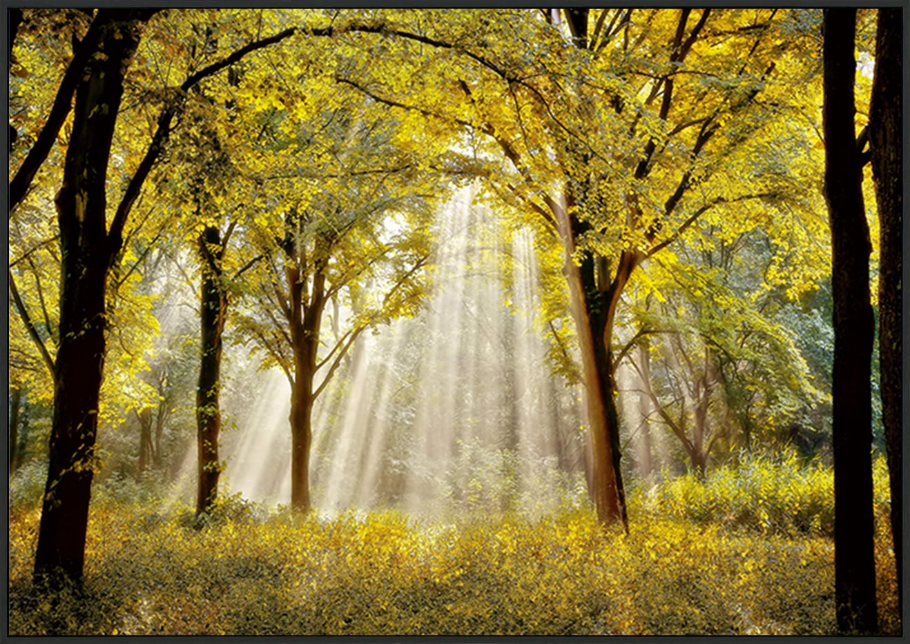canvas_frame