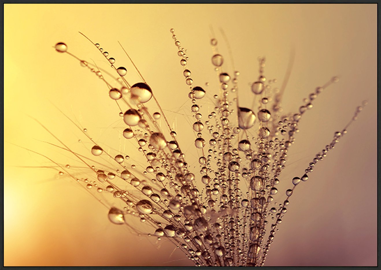 canvas_frame