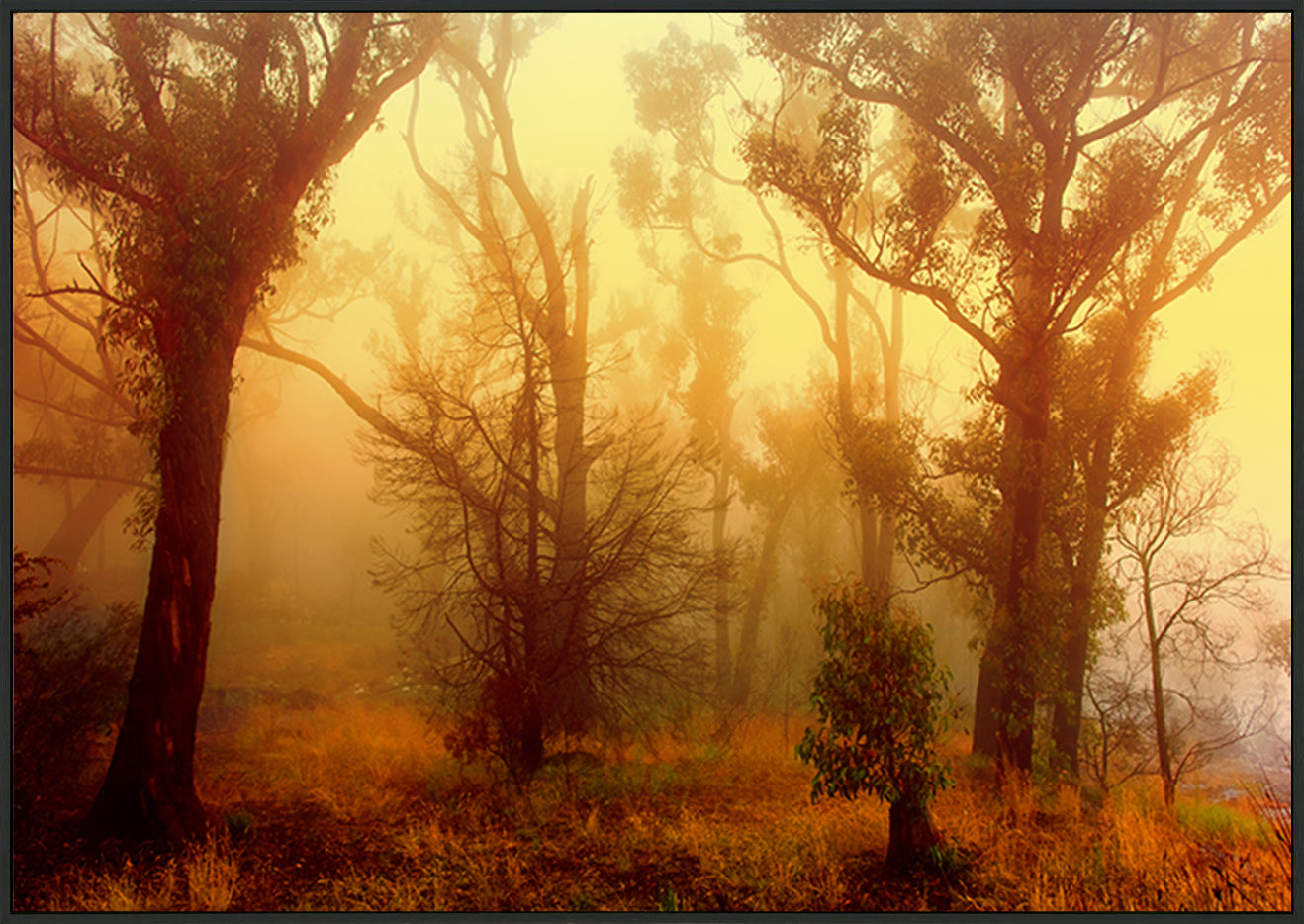 canvas_frame
