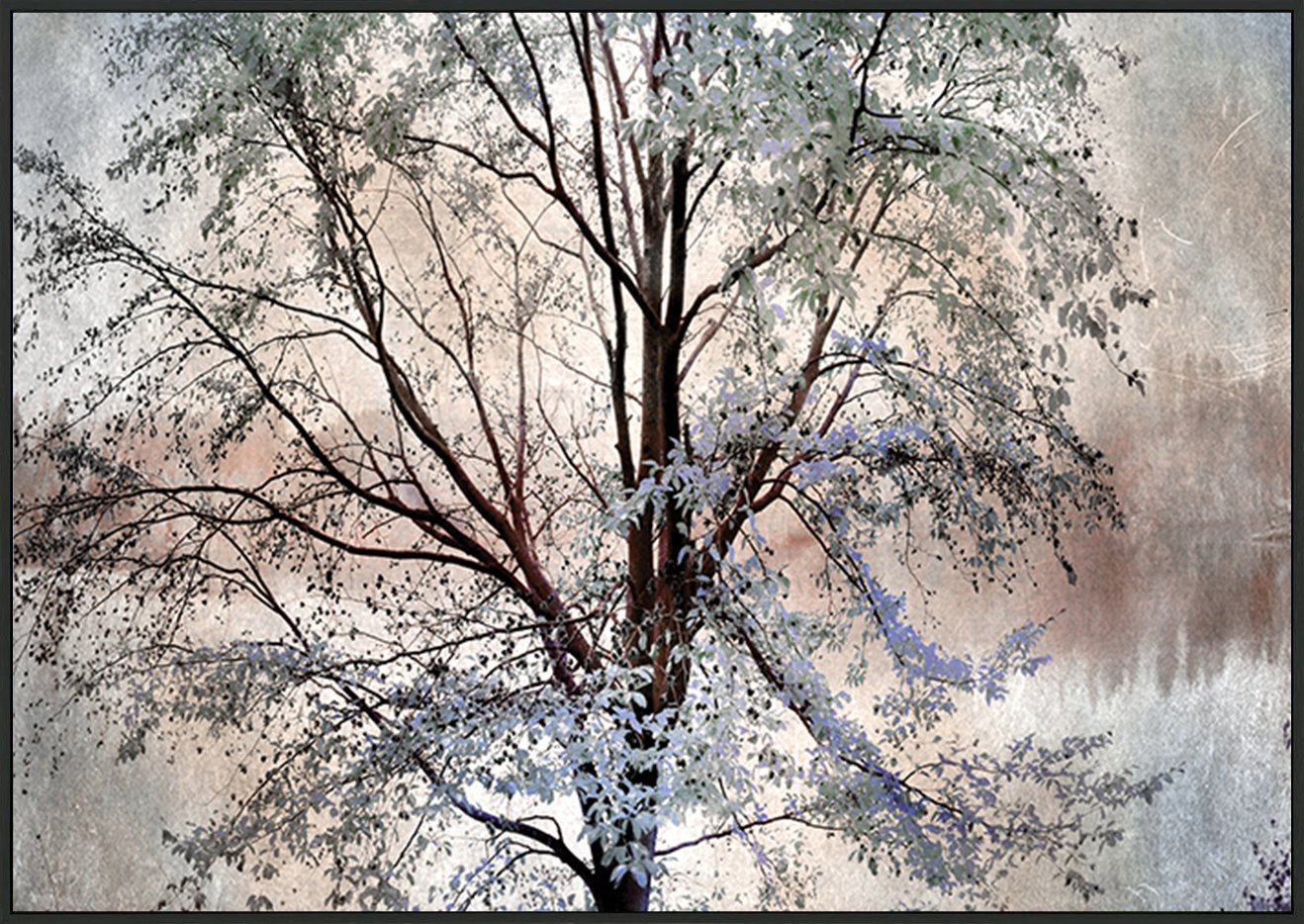 canvas_frame