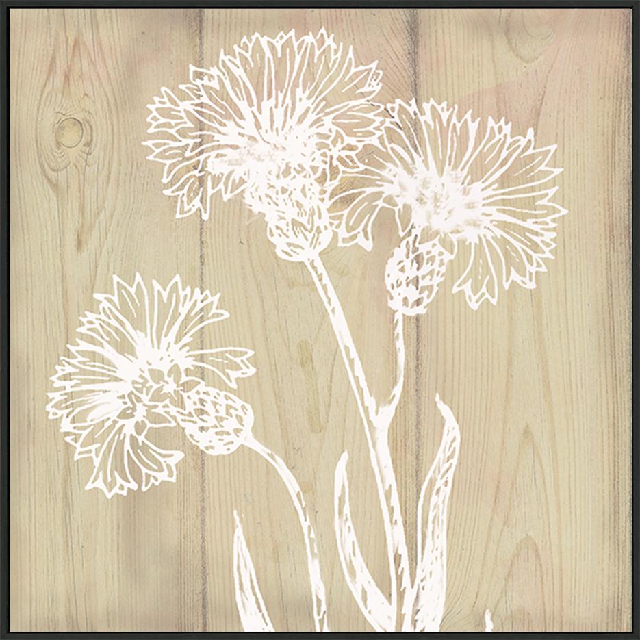 canvas_frame