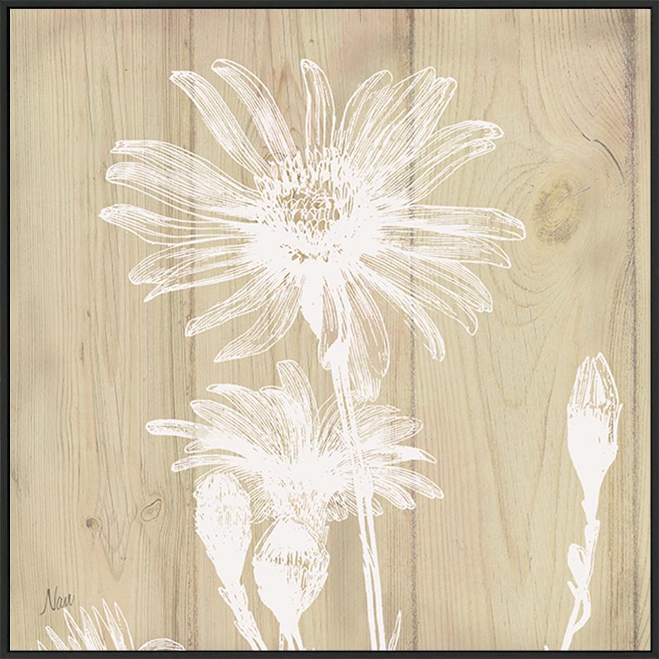 canvas_frame