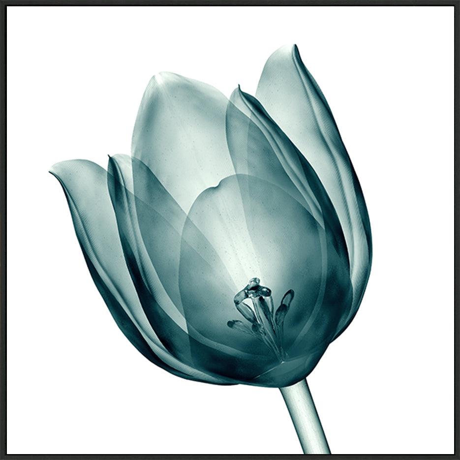 canvas_frame