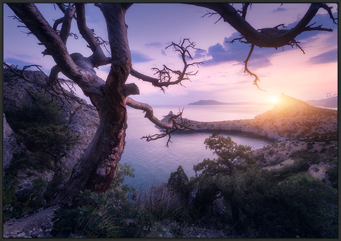canvas_frame