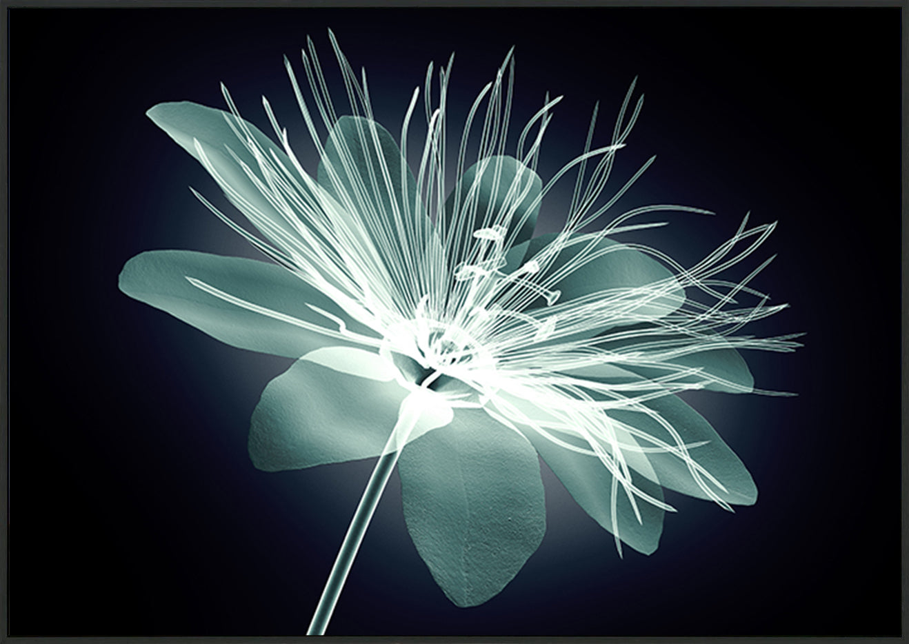 canvas_frame