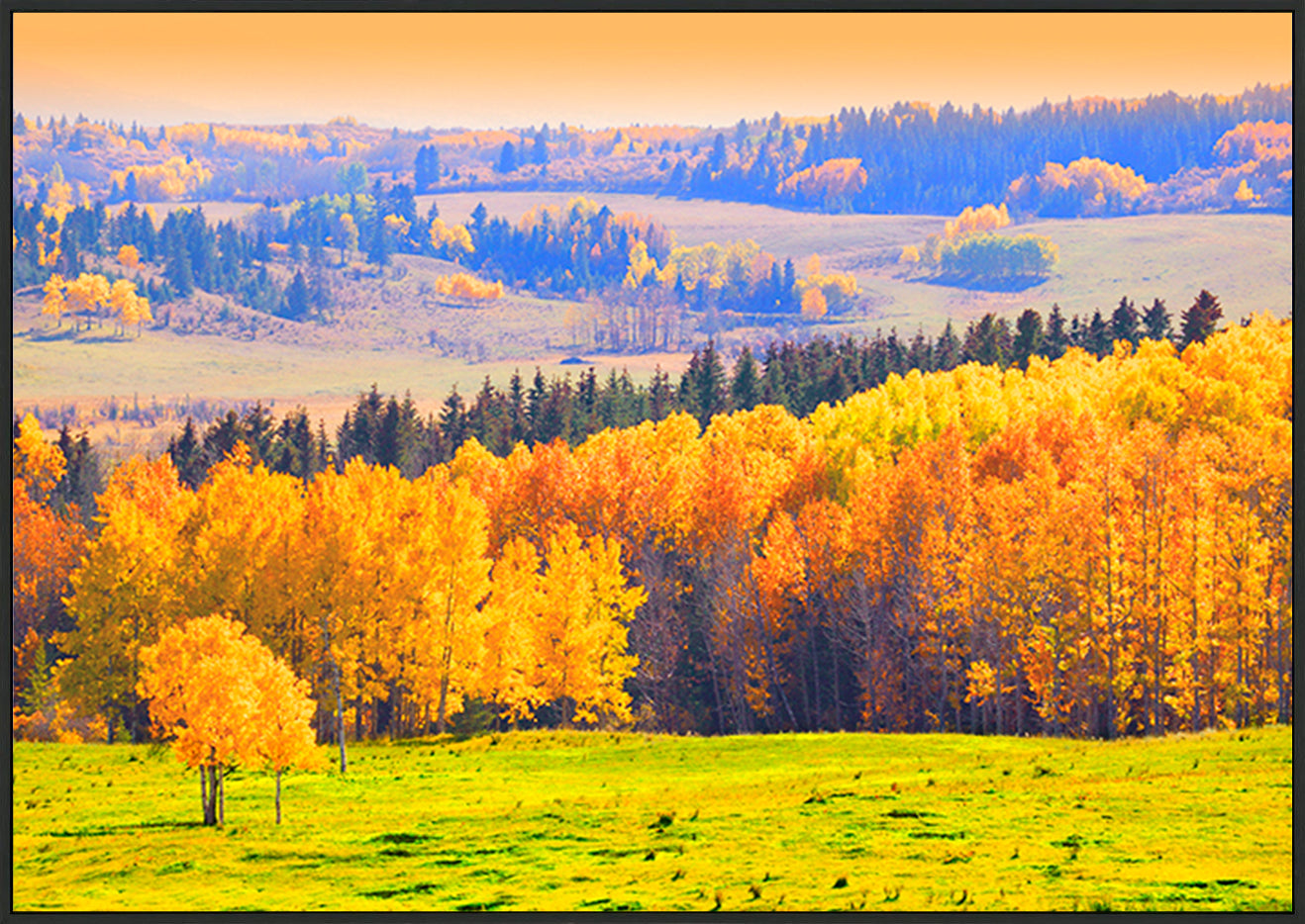 canvas_frame