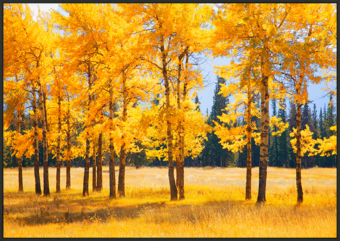 canvas_frame