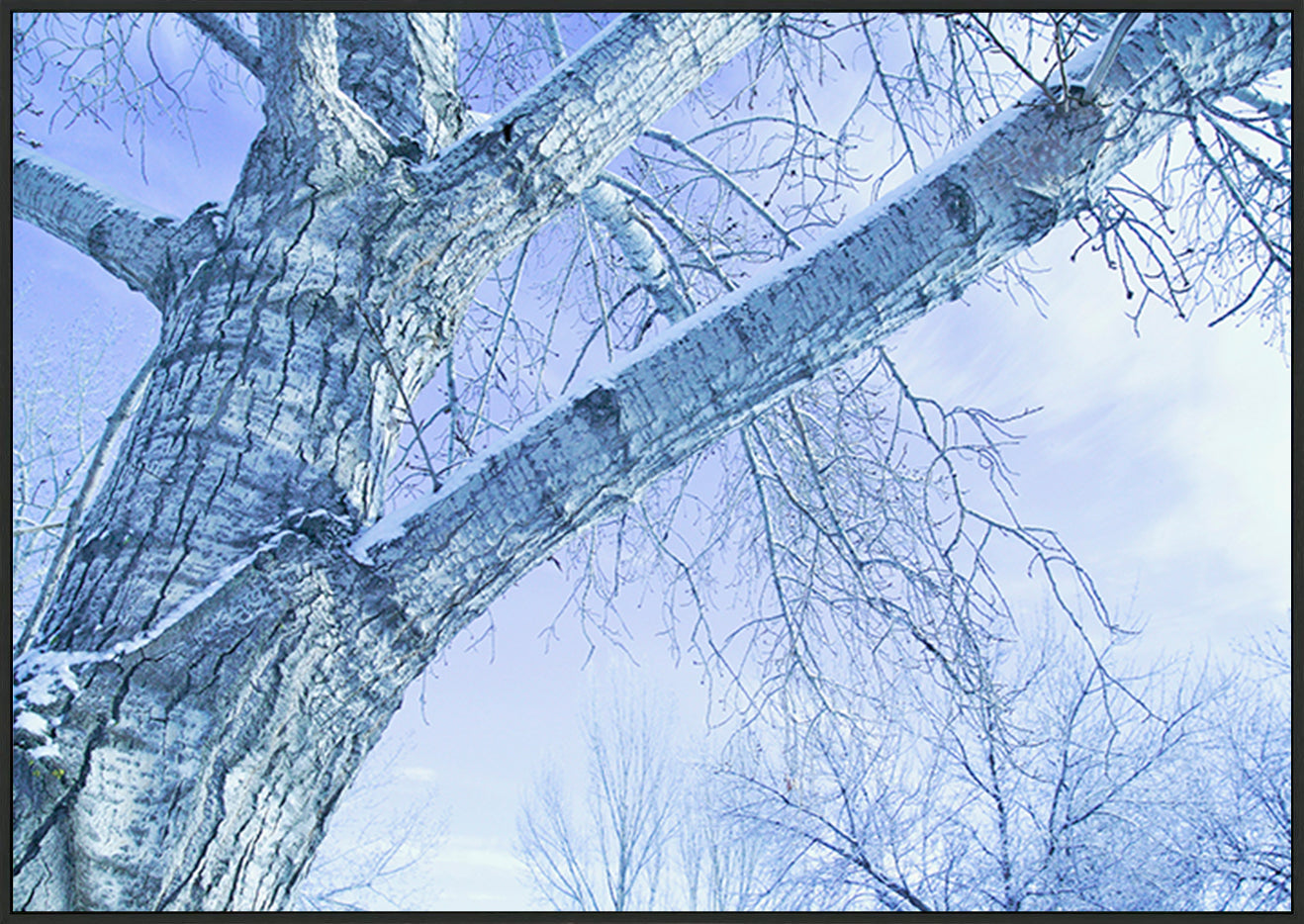 canvas_frame