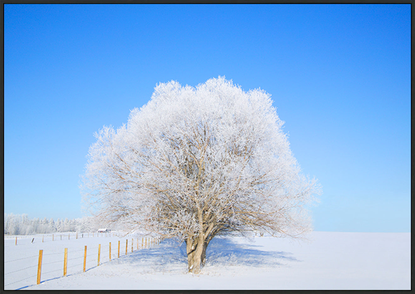 canvas_frame