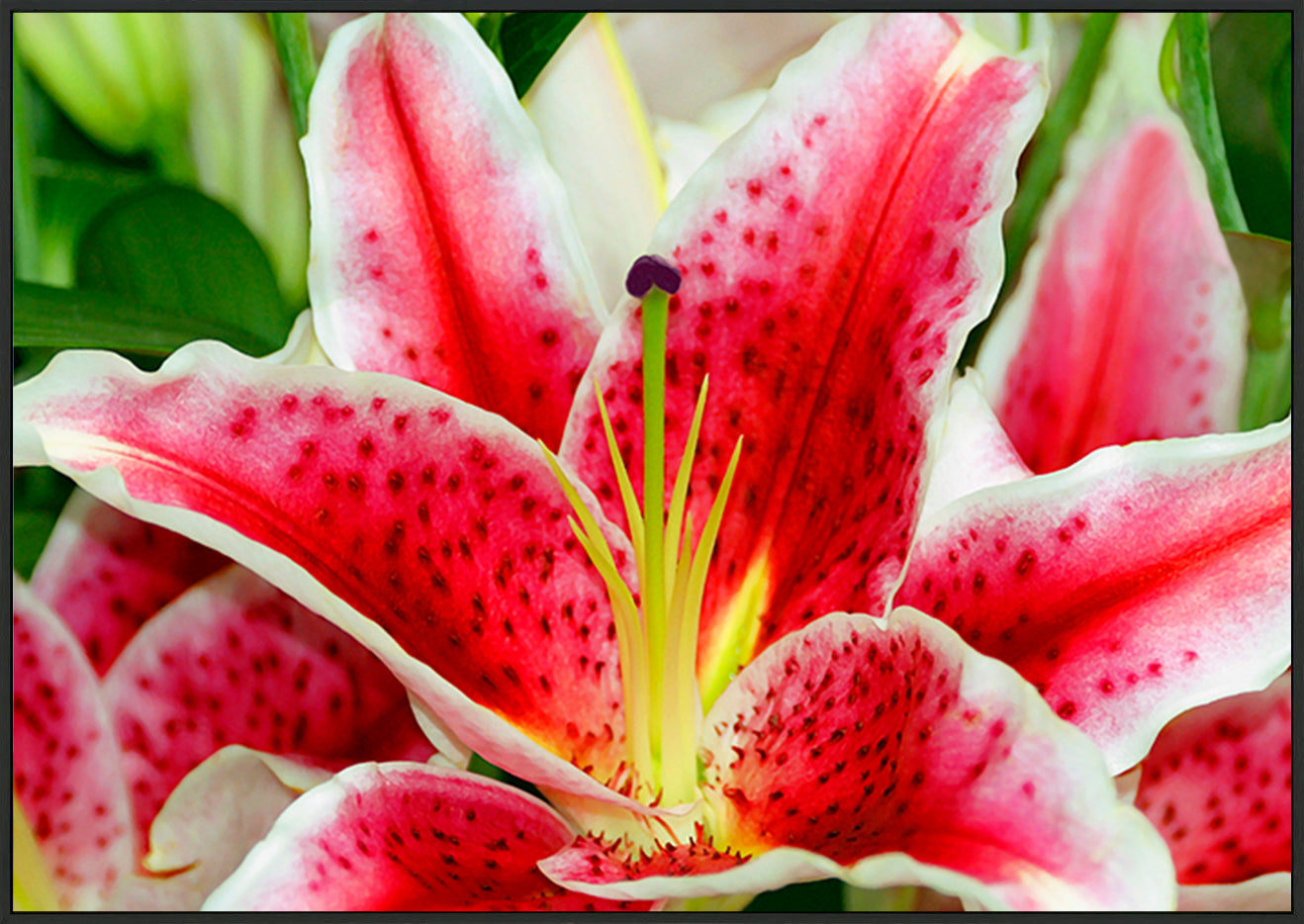 canvas_frame