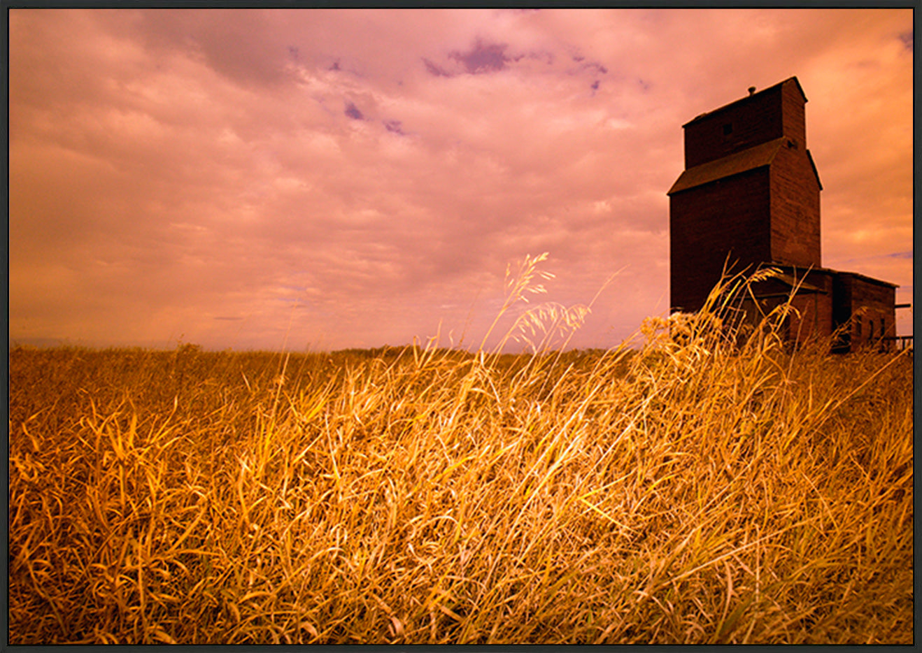 canvas_frame