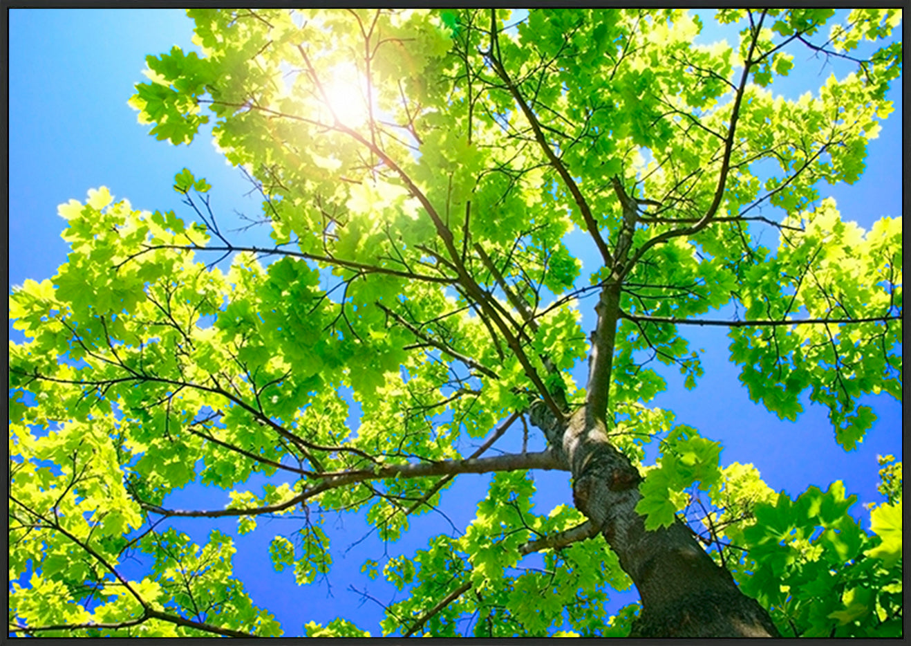 canvas_frame