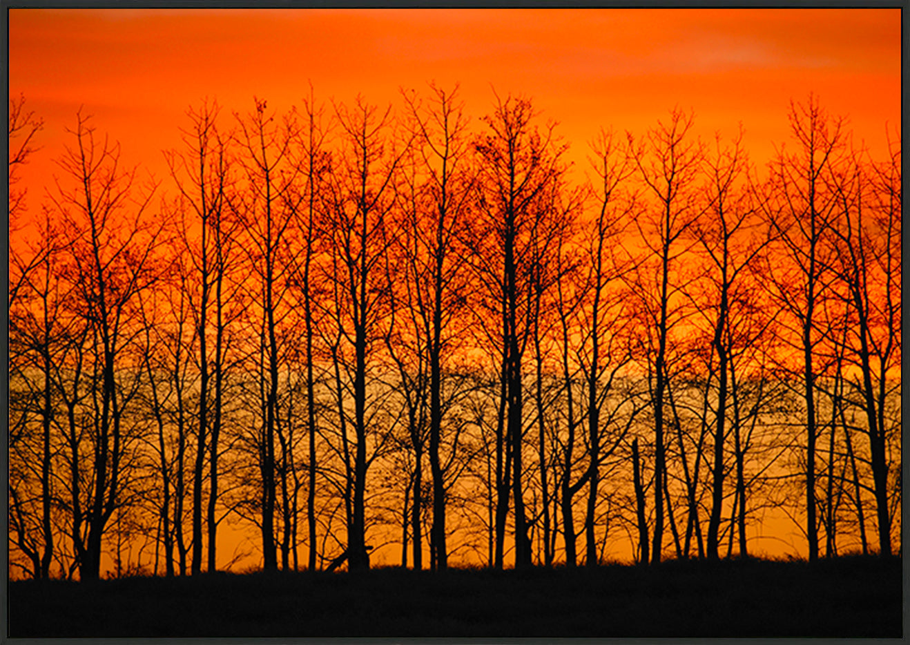 canvas_frame