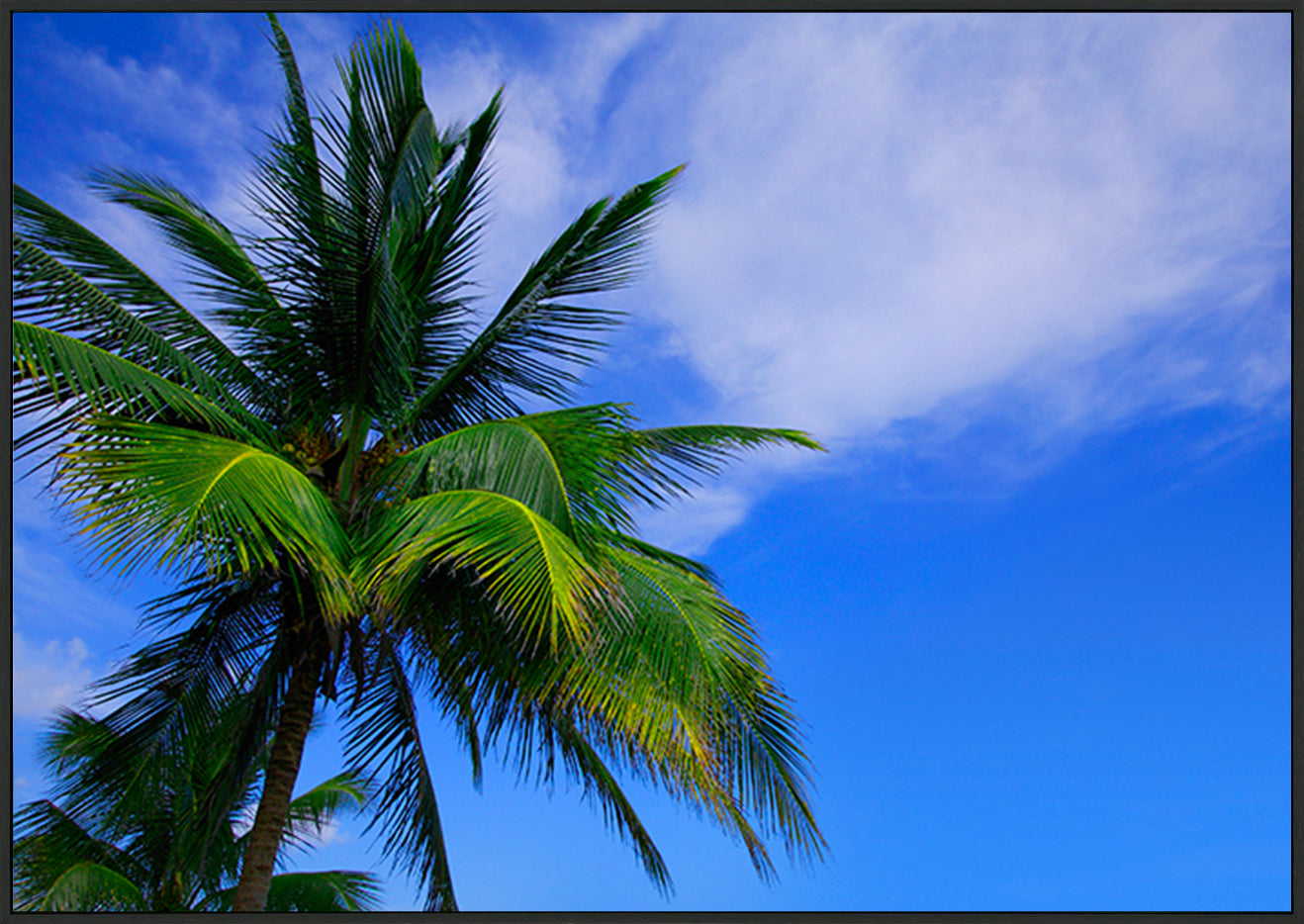canvas_frame