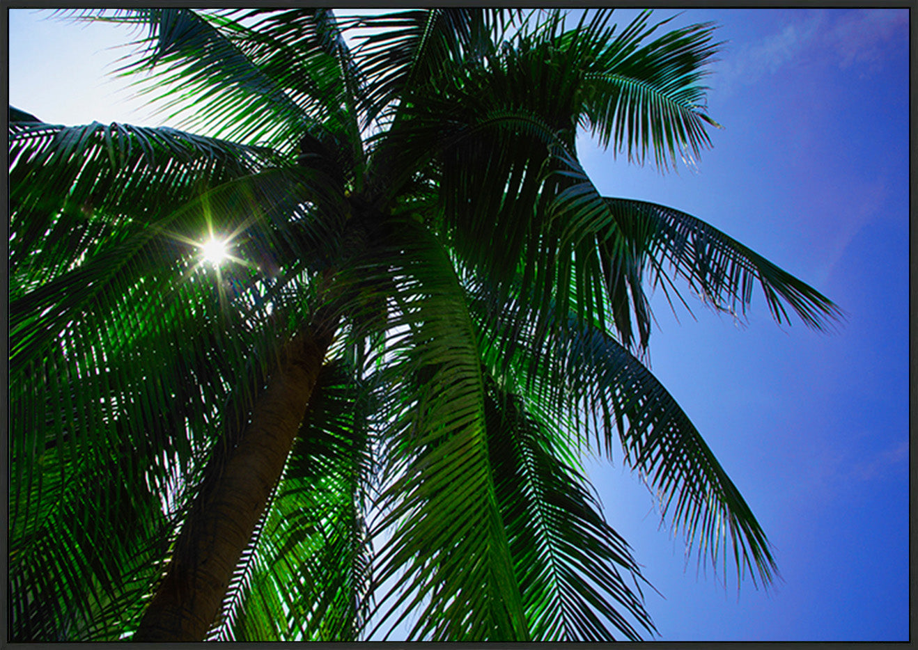 canvas_frame