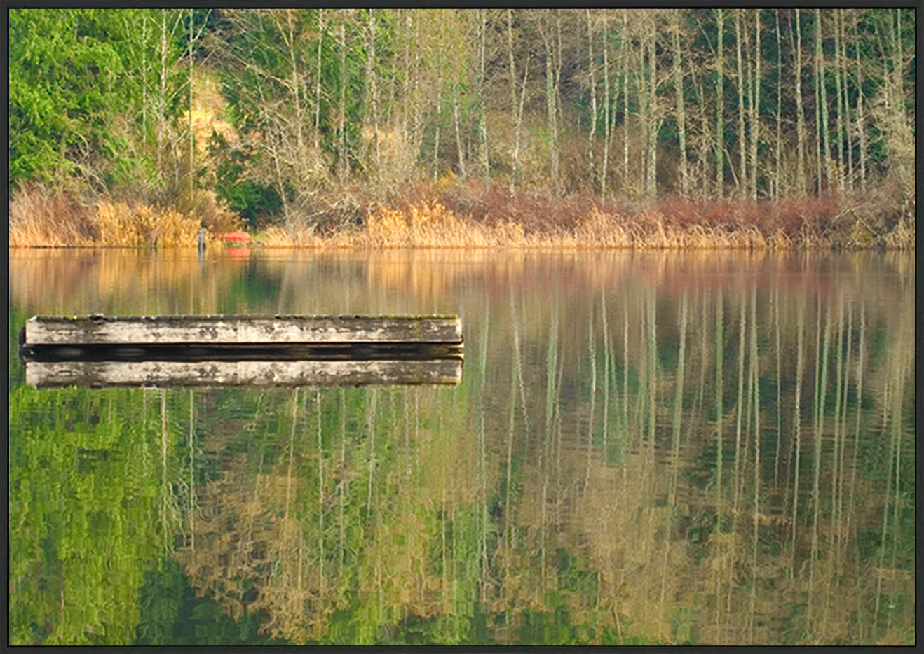 canvas_frame
