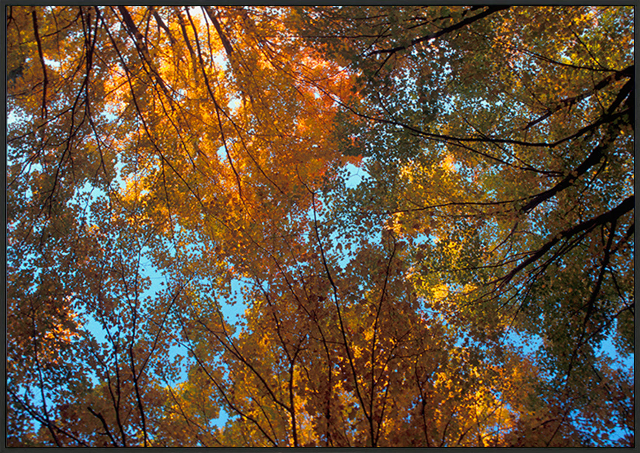 canvas_frame