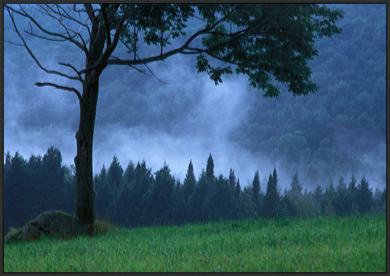 canvas_frame