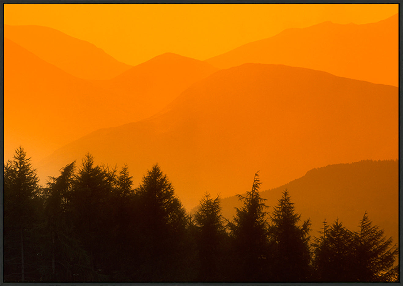 canvas_frame