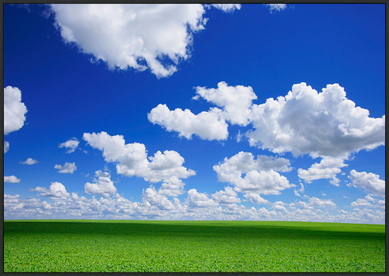 canvas_frame