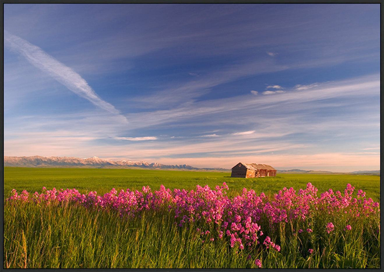 canvas_frame