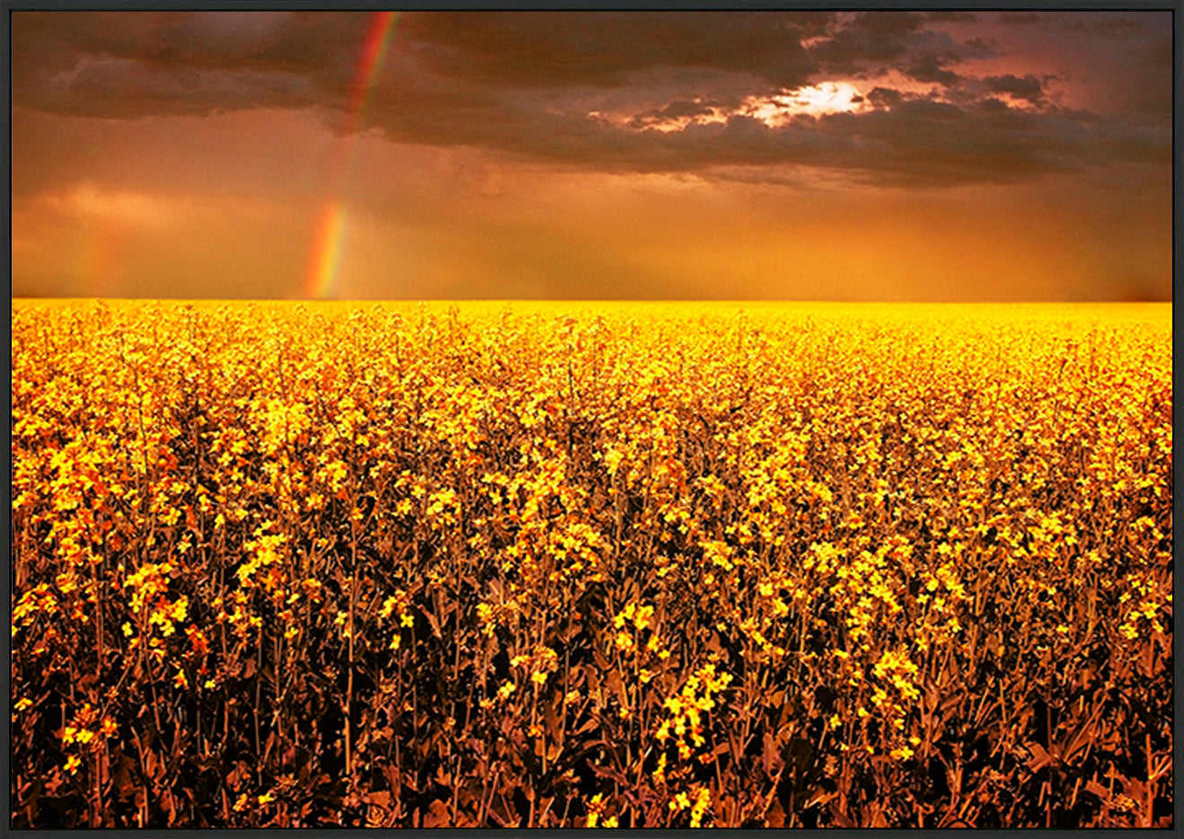 canvas_frame