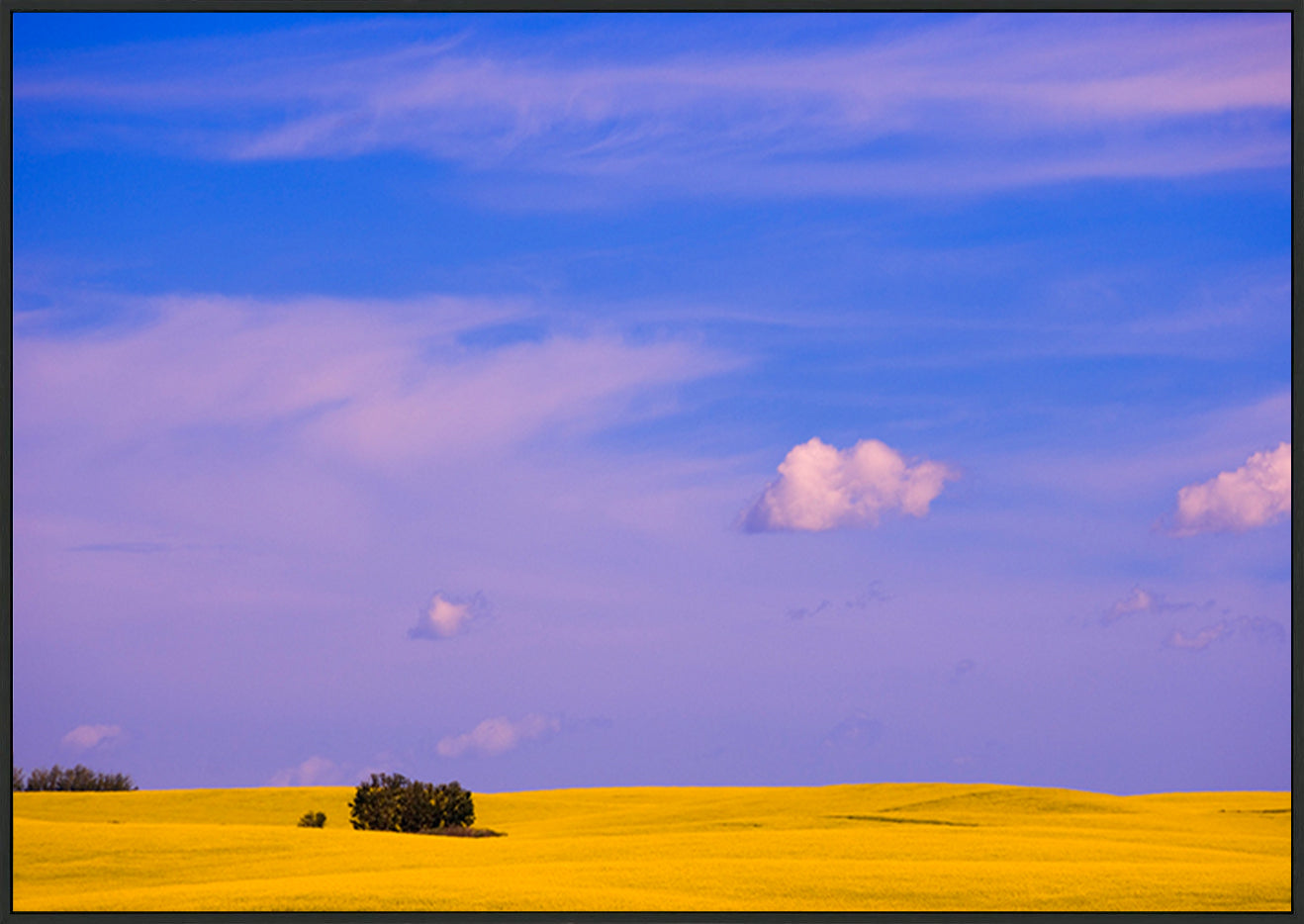 canvas_frame