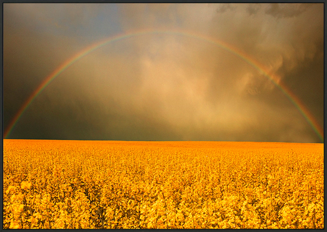 canvas_frame