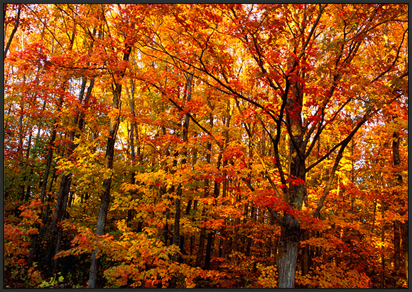 canvas_frame