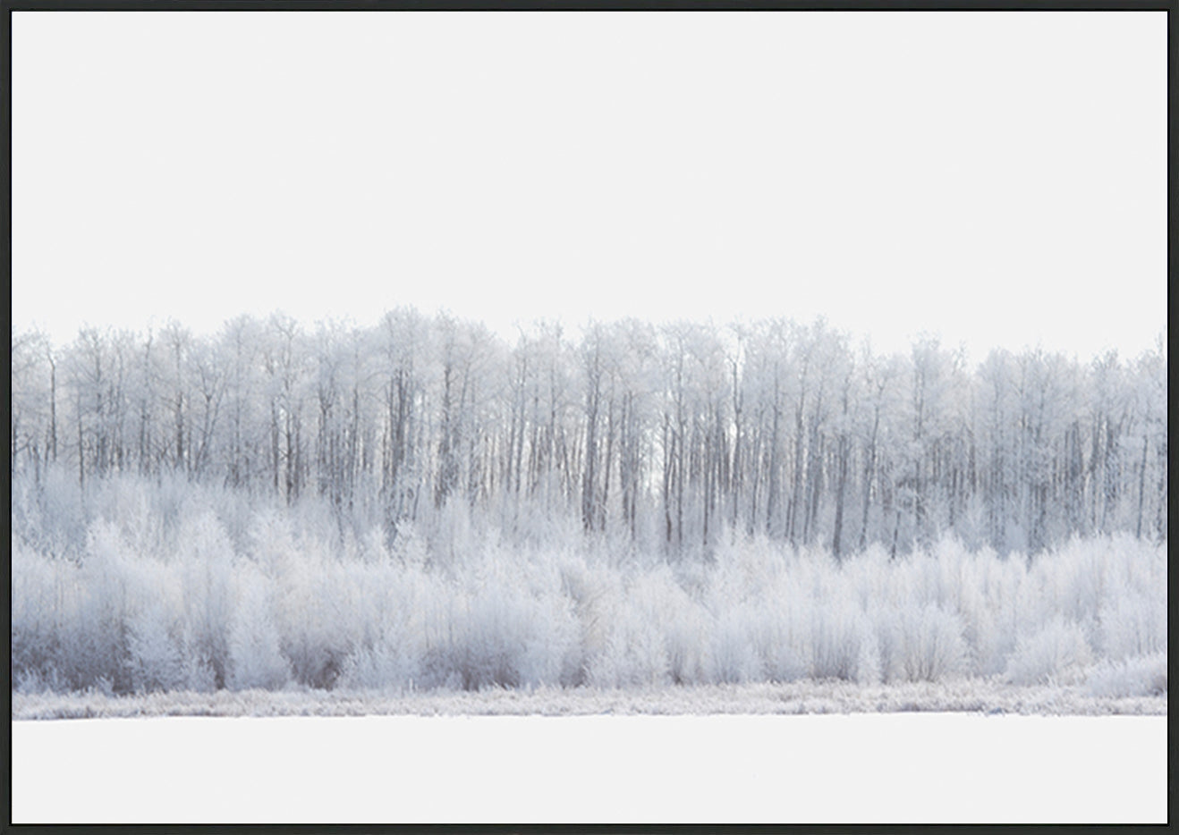 canvas_frame