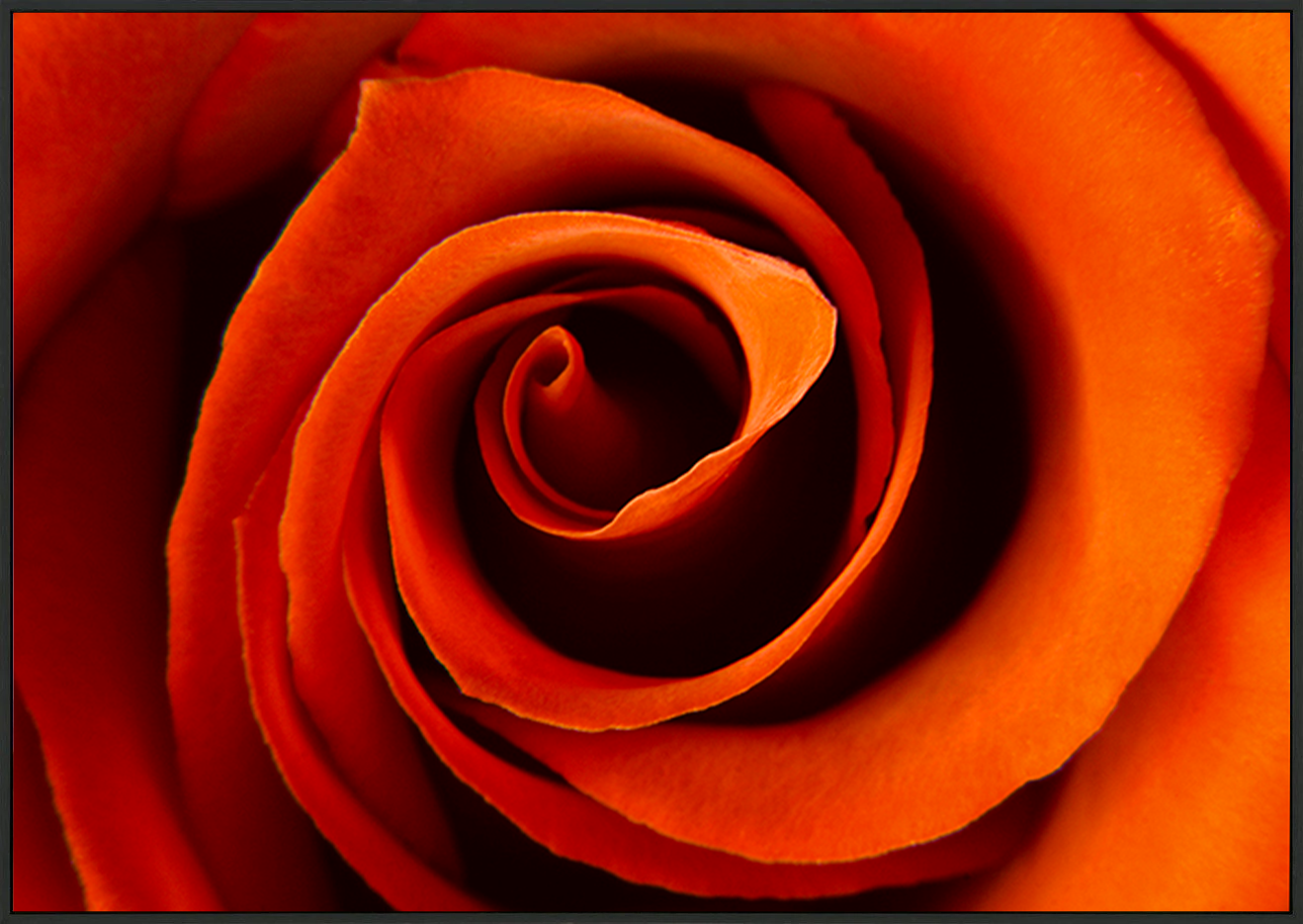 canvas_frame