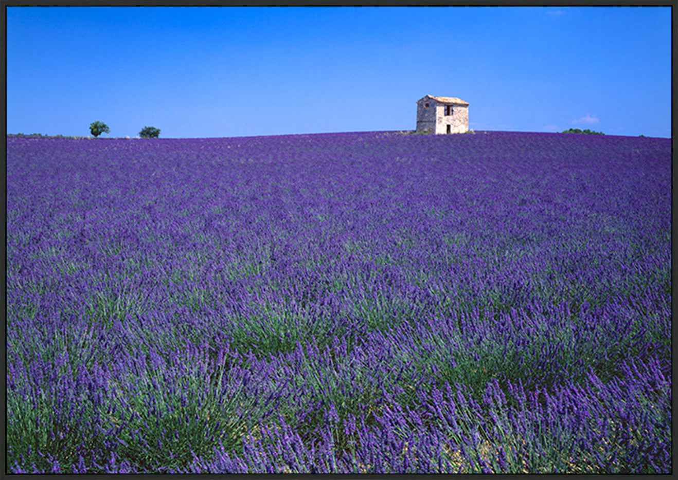canvas_frame