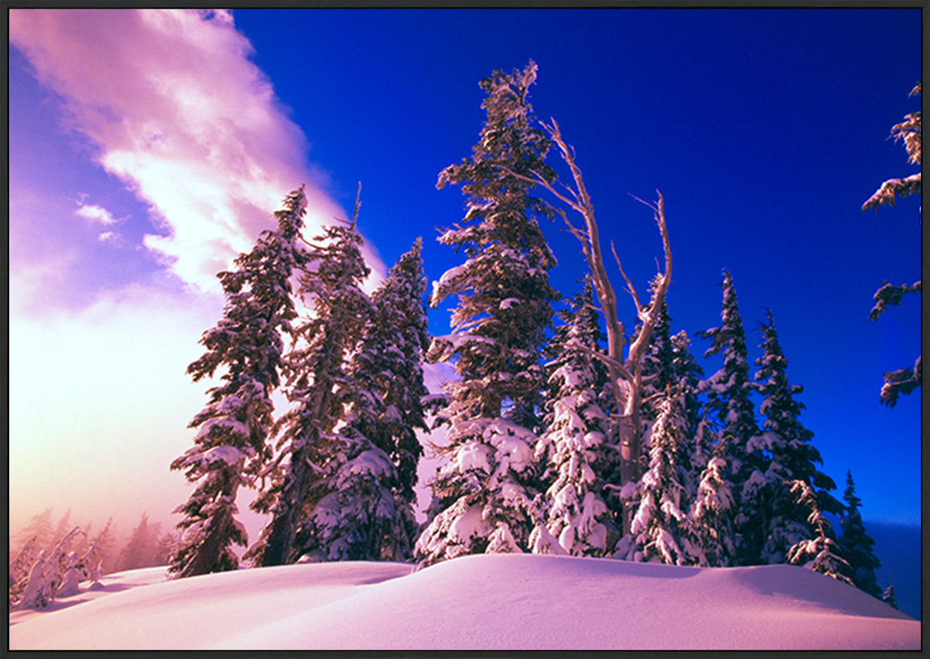 canvas_frame