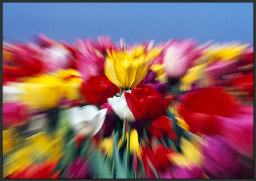 canvas_frame
