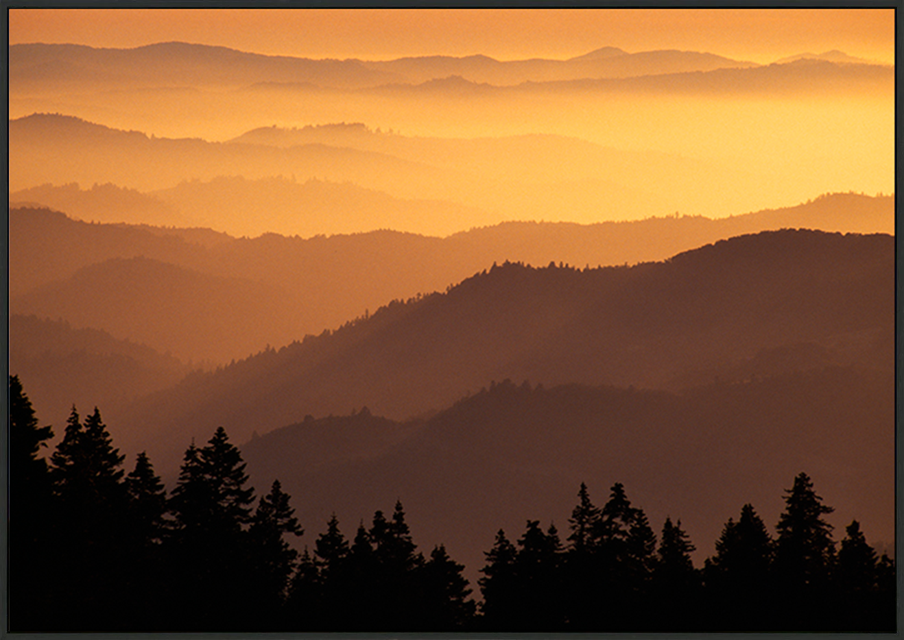 canvas_frame
