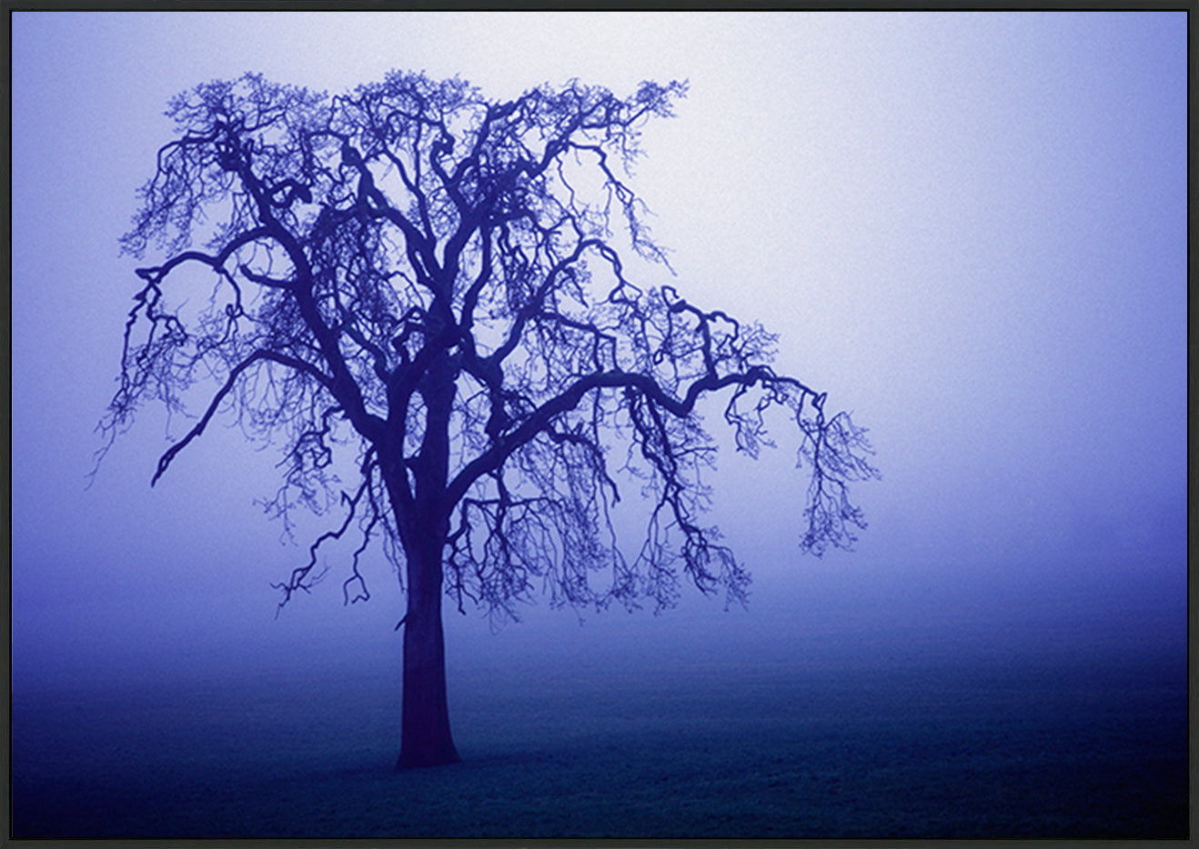 canvas_frame