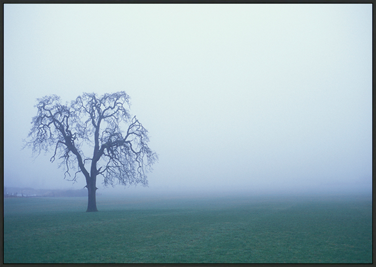 canvas_frame