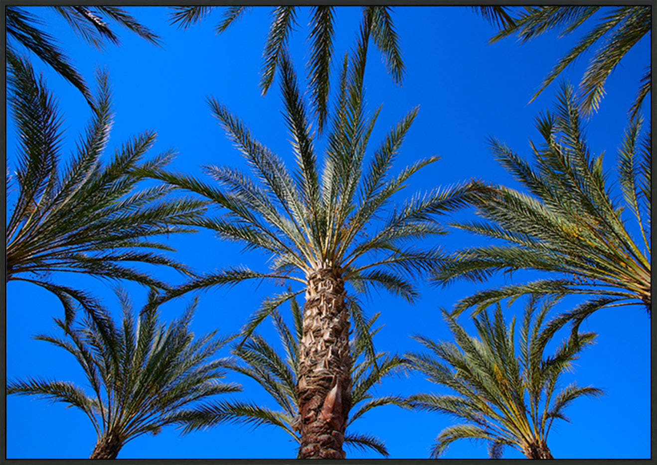 canvas_frame