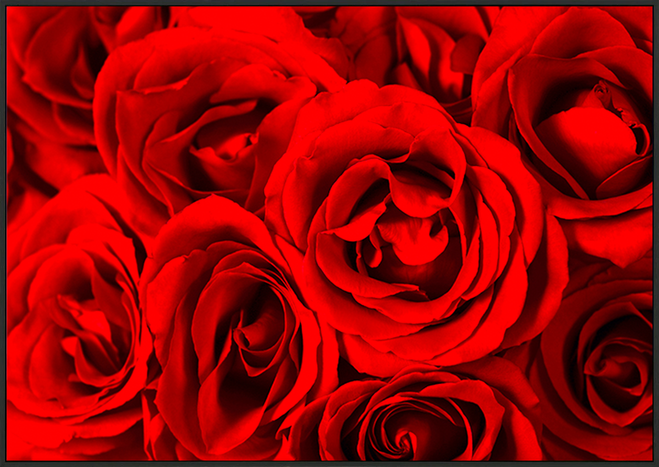 canvas_frame