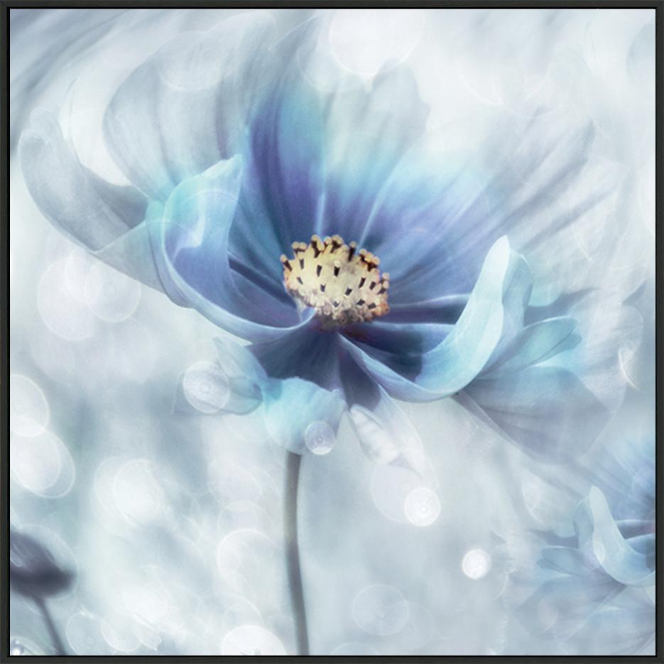 canvas_frame