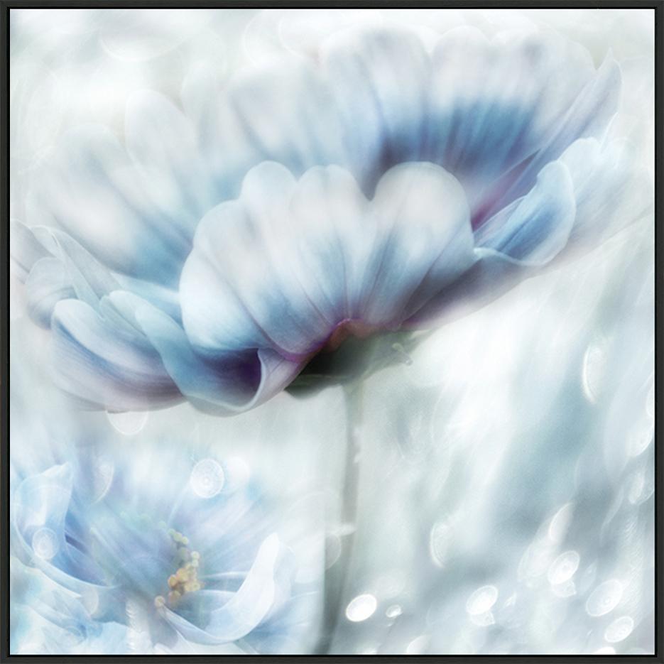 canvas_frame
